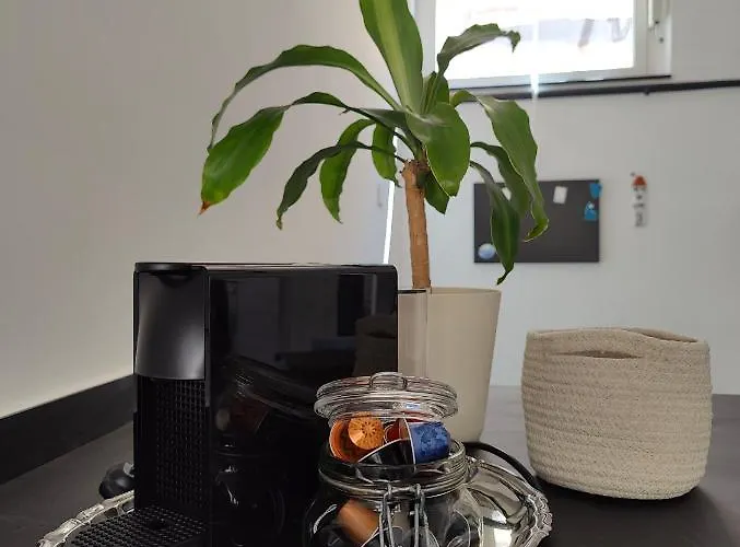 Casa Aicardi Daire *